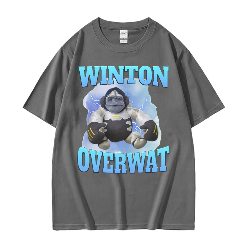 Winton Overwat Meme Funny Gami - Retro Gaming Meme review and price