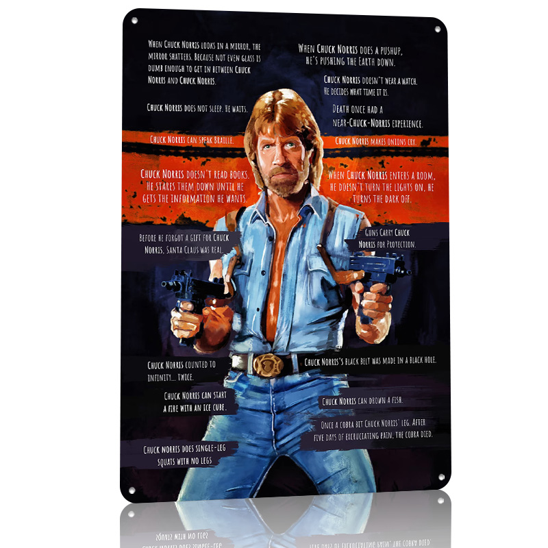 Chuck Norris Memes Metal Poste - Retro Gaming Meme review and price
