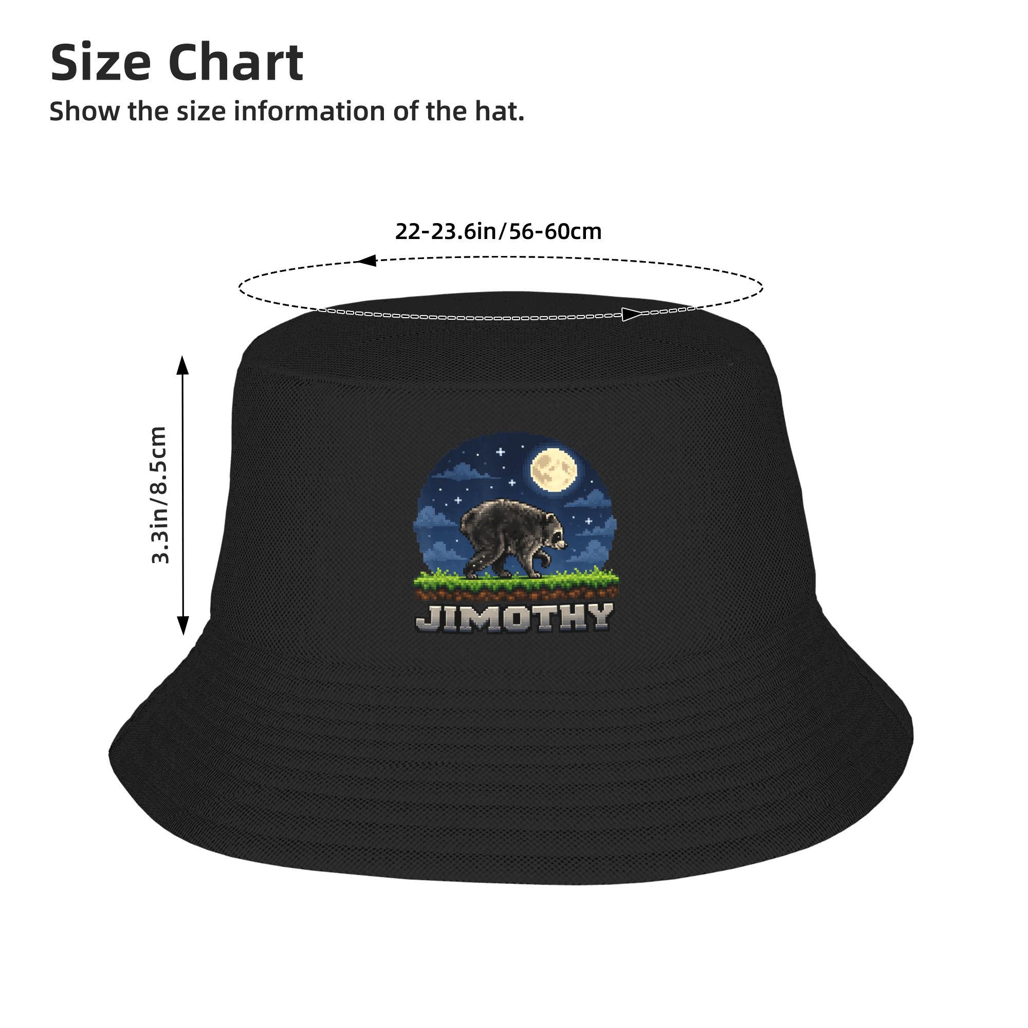 Jimothy Raccoon Pixel Art Retr - Retro Gaming Meme review and price
