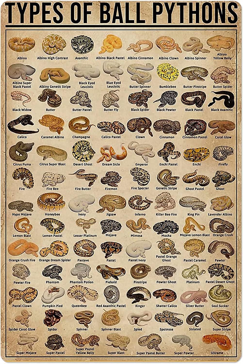 Retro Metal Tin Sign Types of  - Retro Gaming Pictures review and price